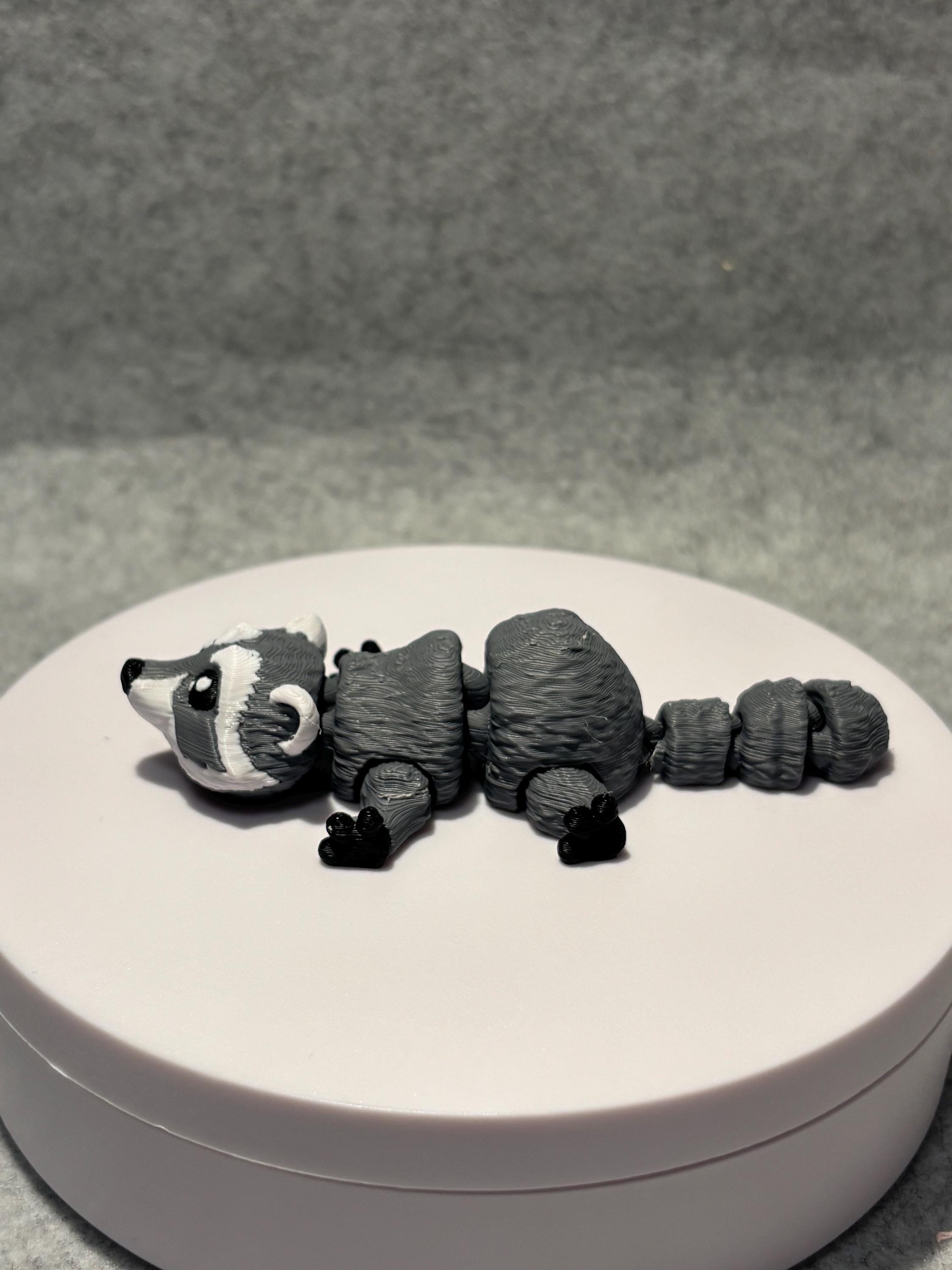 3D Printed Articulated Raccoon Fidget | Desk Pet Toy